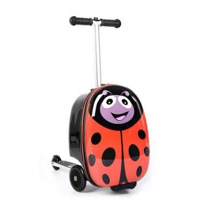 Scooter Luggage