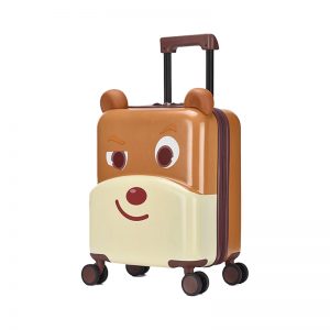 Spinner Luggage